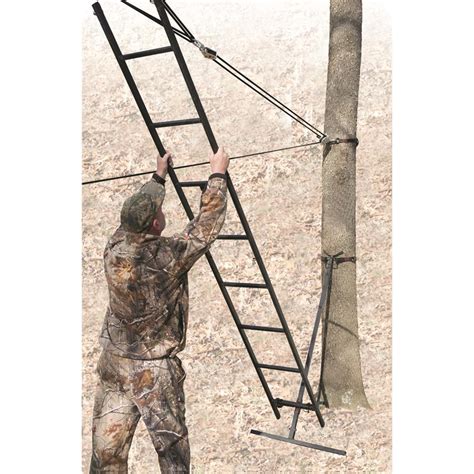 Easiest way to put up a ladder stand by yourself. Watch the video below: This strategy could be perfect for run-and-gun situations during a firearm season. For areas with large CRP fields and no trees, the ladder could be an easy way to get a good vantage point with little to no work. The ladder strategy is cost-effective, light and extremely quiet. For around $50 and an hour of labor, this ... 