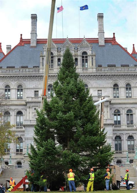 East Capitol Park Christmas Tree arrives in Albany