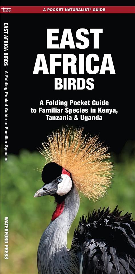 East africa birds a folding pocket guide to familiar species in kenya tanzania uganda pocket naturalist guide series. - Monjas dominicas en la cultura novohispana.