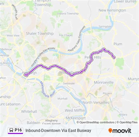 Sydney and Surrounds Central Coast NetworkWoy Woy, Gosford, Kincumber and Wyong areas North Shore and West NetworkSydney's CBD, North western, northern harbour and riverside suburbs. Busways operates over 155 dedicated school bus services in the North Shore and West region.. 