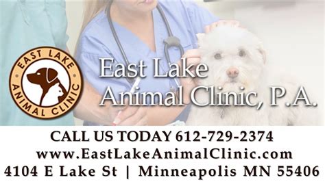East lake animal clinic. Things To Know About East lake animal clinic. 