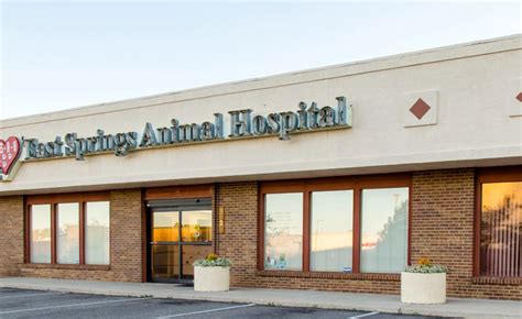 East springs animal hospital. Our team gives your pet the love and attention they deserve - even during curbside appointments! ⭕️ ⭕️ We appreciate your patience through our “new... 