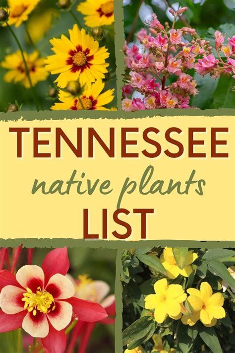 East tn native plants.  Landscaping with Native Plants &ndash; East Tennessee...