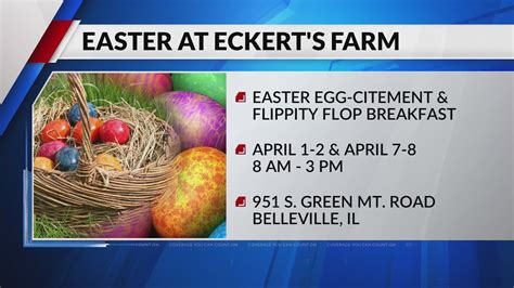 Easter 'egg-citement' events taking place this weekend