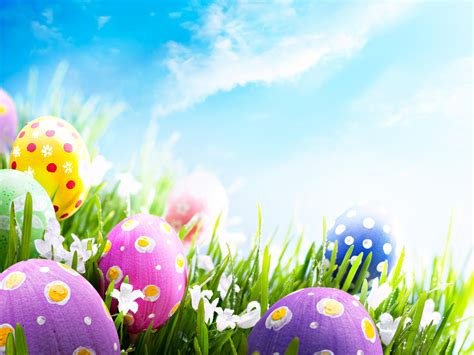 Easter egg screensaver. It's the Easter Bunny! He is getting ready to hide his brightly colored Easter eggs amongst the spring flowers. ... 