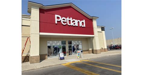 Petland Eastgate, OH. 513-599-8900. 4450 Eastgate Boulevard Space 262 Cincinnati, OH, 45245. Store Hours. Monday – Saturday 10 AM – 9 PM Sunday 12 PM – 9 PM ... . 