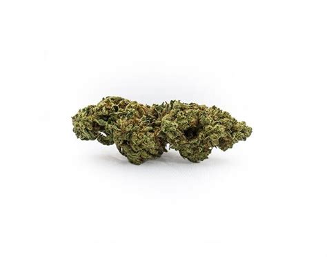 GMOG is an indica dominant hybrid strain (70% indica/30% sativa) created through crossing the potent GMO X Legend OG strains. This celebrity child boasts an insanely high level of potency with effects that will knock out even the most experienced patients. That being said, mind your dosage with this bud if you have anything to do other than sleep. . 