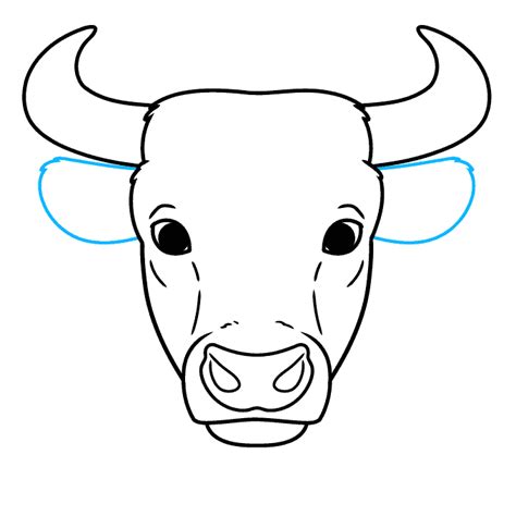 Easy Bull Head Drawing