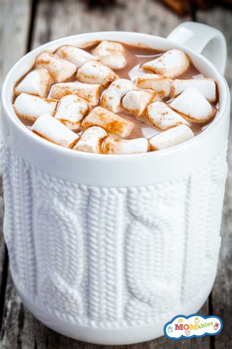 Easy DIY Dairy-Free Hot Cocoa Mix (or Packets)! MOMables