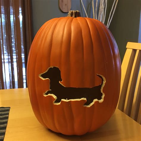 Easy Dog Pumpkin