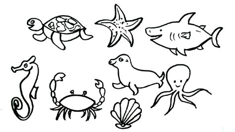 Easy Draw Sea Animals