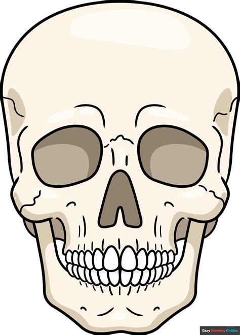 Easy Draw Skeleton Head