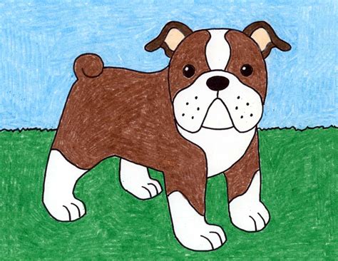 Easy English Bulldog Drawing