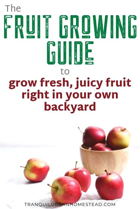 Easy Fruit Growing Guide