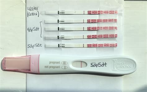 Easy Home Pregnancy Test Reviews