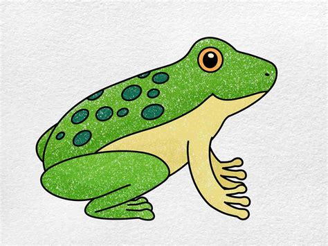 Easy How To Draw A Frog