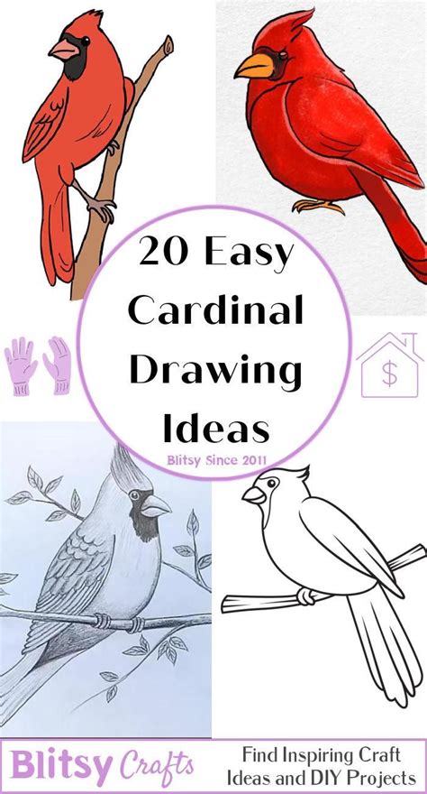 Easy How to Draw a Cardinal Tutorial and Cardinal Coloring Page