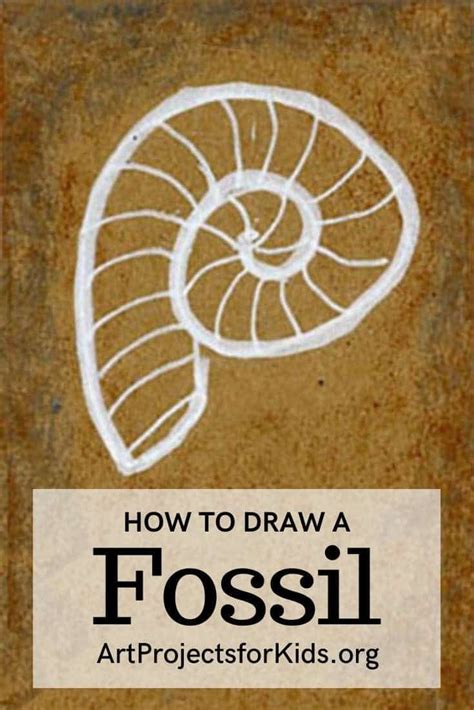 Easy How to Draw a Fossil Tutorial and Fossil Coloring Page