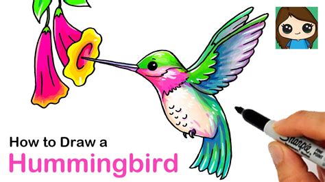Easy How to Draw a Hummingbird Tutorial Video & Coloring Page