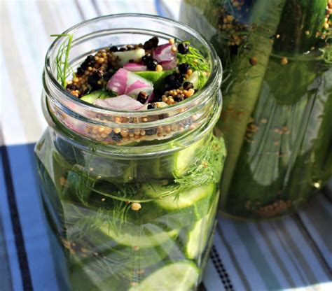 Easy Keto Refrigerator Dill Pickles - Splash of Keto