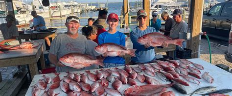 Easy Livin Charters Gulf Shores, AL FishAnywhere