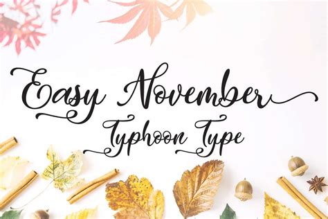 Easy November Script font Dafont Free