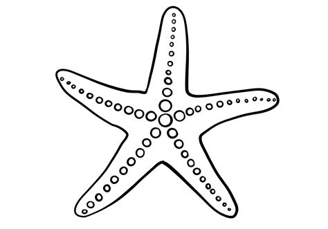 Easy Starfish Drawing