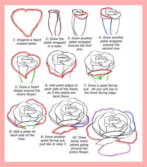 Easy Step By Step How To Draw A Rose