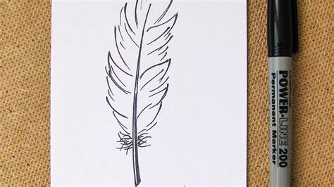 Easy To Draw Feather