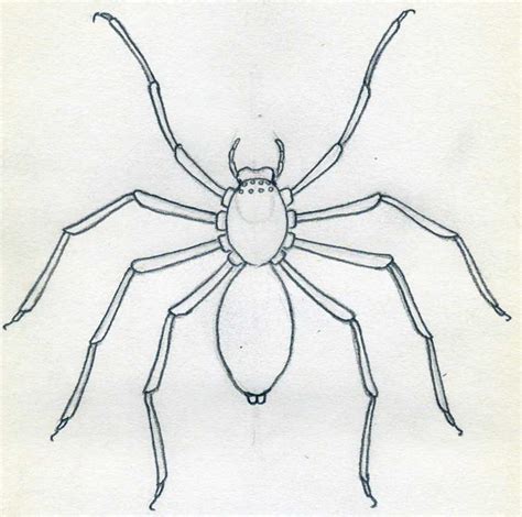 Easy To Draw Spider
