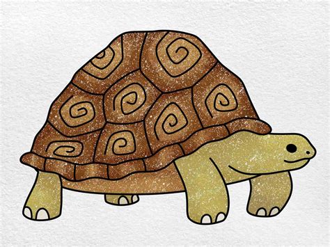 Easy To Draw Tortoise