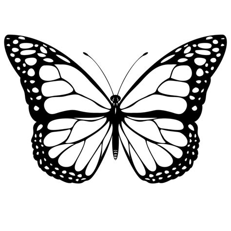 Easy butterfly drawing. Things To Know About Easy butterfly drawing. 