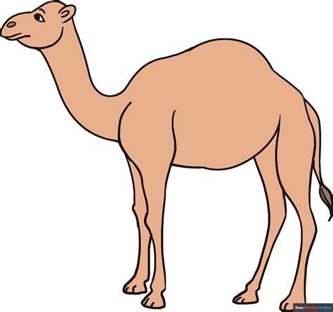Easy camel drawing. But there is so much more to them that you can think of. Welcome to our collection of free CAMEL coloring pages. Click the Camel pictures or illustrations you like and you’ll be taken to the PDF download and/or print page. Every coloring page is a printable PDF and/or can be downloaded. Download/Print. 