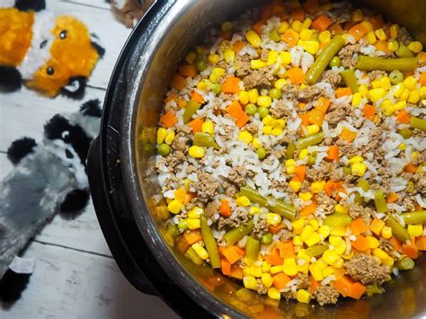 Easy homemade dog food. Instructions. Stir in ground beef, brown rice, kidney beans, butternut squash, carrots, peas and 4 cups water into a 6-qt slow cooker. Cover and cook on low heat for 5-6 hours or high heat for 2-3 hours, stirring as needed. Let cool completely. 