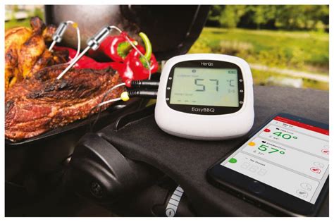 EasyBBQ pro review – BBQ-helden