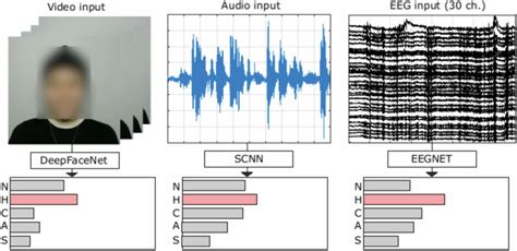 Eav eeg audio video dataset for emotion recognition in conversational conte...