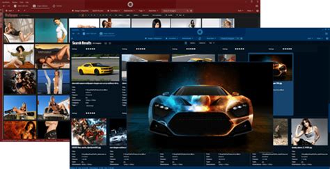 EazyFlixPix Media Organizer for Windows