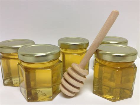 Little Giant Fabric Honey Filter Honey Filtration Strainer for Beekeeping  (Item No. HSTRAINF) 