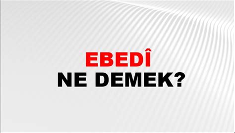 Ebedi Halı ve Koltuk Yıkama