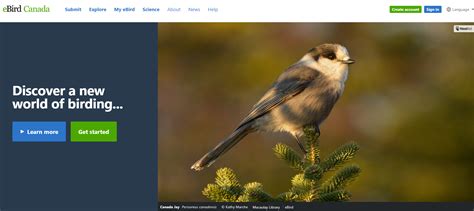 Ebird website. Get started with eBird. Enter Sightings with eBird Mobile. Enter sightings on the eBird Website. Guide to eBird Protocols. Birding as your 'Primary Purpose' and Complete Checklists. View all 9. 