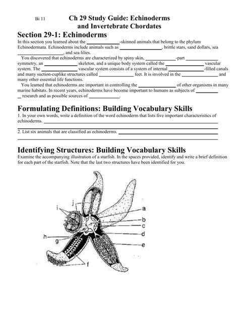 Echinoderms and invertebrate chordates study guide answers. - Samsung ml 2010 series ml 2015 xev laser printer service repair manual.