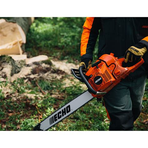 codini.rgarabwor.edu.pl. 