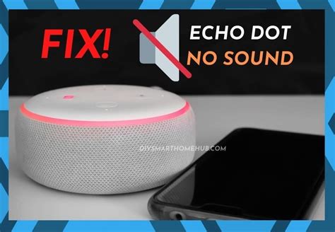 Echo Dot No Sound: Ways To Fix - speakergy.com