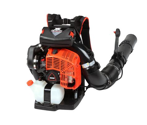 Echo backpack blower.  Great Customer Service.  Blowers Debris doesn&rsqu...