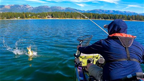 Echo lake colorado fishing regulations.  Need a Colorado Fishing License...