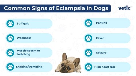 Eclampsia and Hypocalcemia in Cattle and Dogs SIRIUS DOG