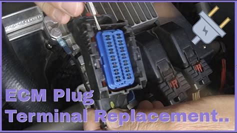 Ecm plug terminal replacement.  Browse terminal packs, connector kits, and harness compo...