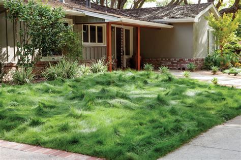 Eco lawn. Turf is a no-maintenance grass alternative. You’ll never need to mow or water it. But, it’s important to note—high-quality turf is an investment, around $12 a square foot which can add up ... 