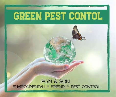 Eco-Friendly Pest Control — Green Pest Control with Green