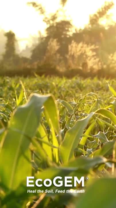 😈 Ecogem Onlyfans Leaked PORN